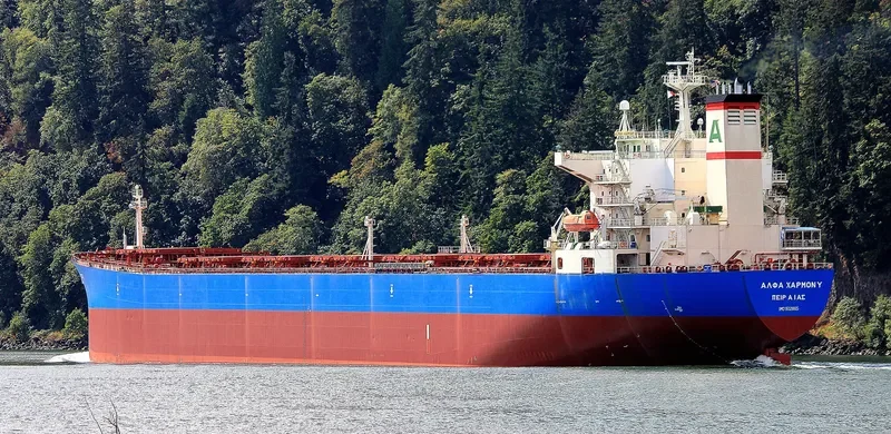 BAO NENG 16 Bulk Carrier IMO 9221865 photo 10