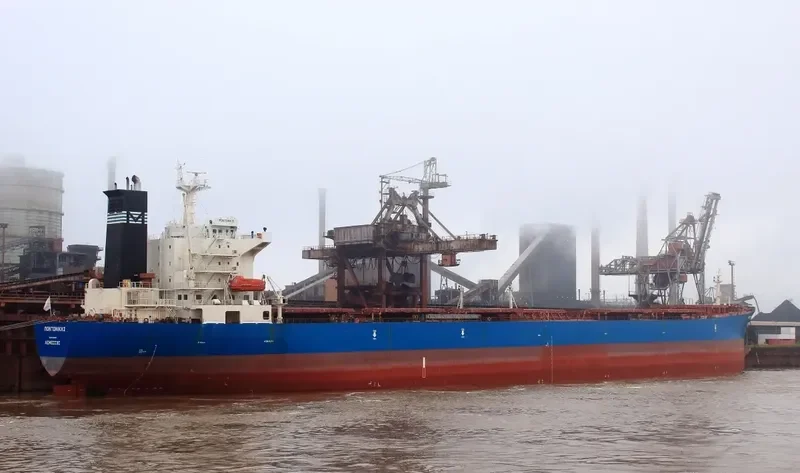 FORTUNE GENIUS Bulk Carrier IMO 9221877 photo 3