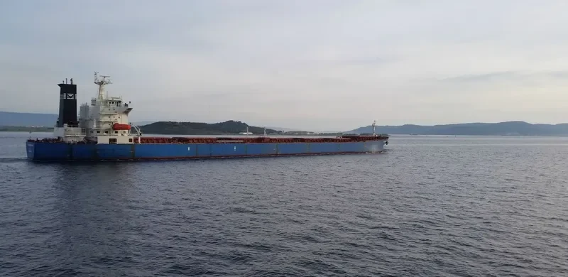 FORTUNE GENIUS Bulk Carrier IMO 9221877 photo 9