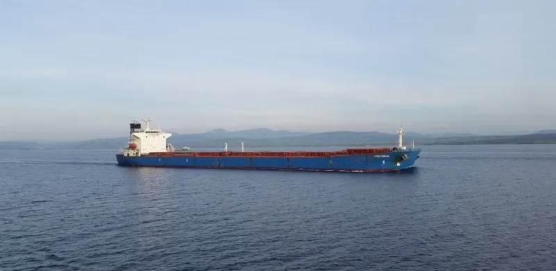 FORTUNE GENIUS Bulk Carrier IMO 9221877 photo 10