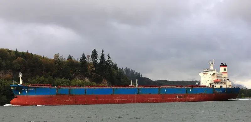 ALPHA MELODY Bulk Carrier IMO 9221889 photo 2