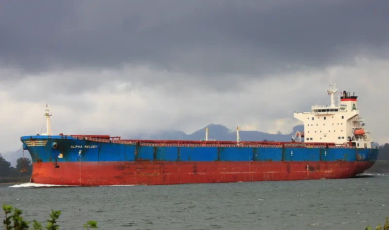 ALPHA MELODY Bulk Carrier IMO 9221889 photo 3