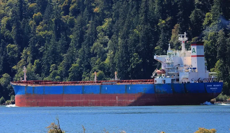 ALPHA MELODY Bulk Carrier IMO 9221889 photo 4