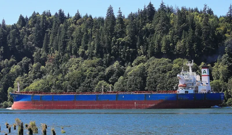 ALPHA MELODY Bulk Carrier IMO 9221889 photo 5