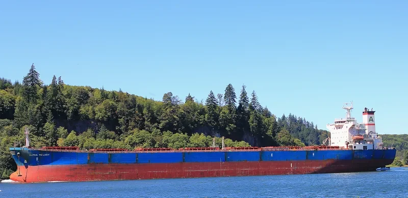ALPHA MELODY Bulk Carrier IMO 9221889 photo 6