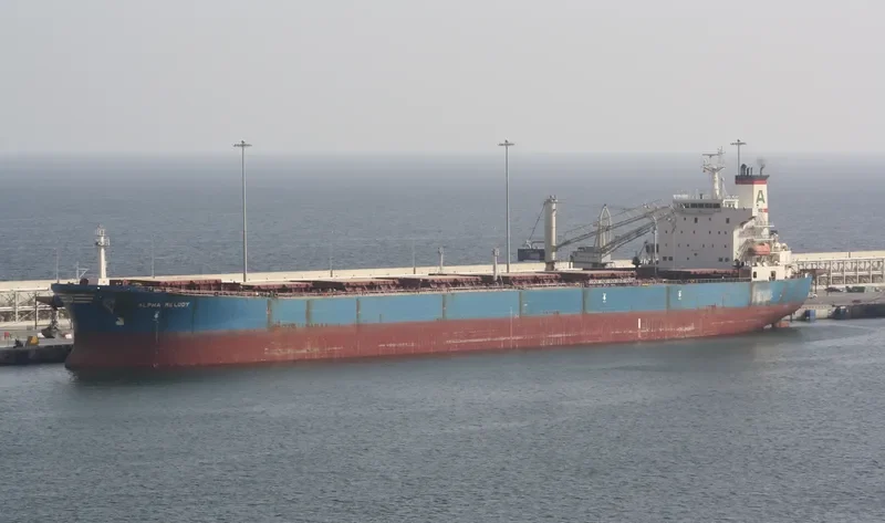 ALPHA MELODY Bulk Carrier IMO 9221889 photo 7