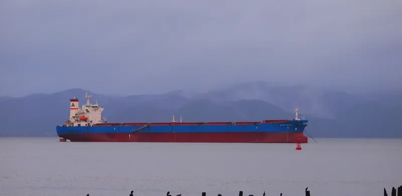 ALPHA MELODY Bulk Carrier IMO 9221889 photo 10