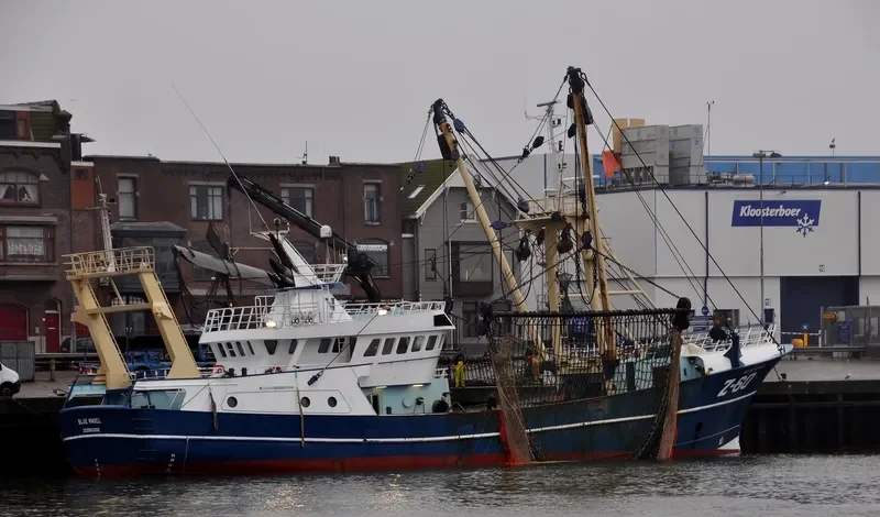 Z60BLUE ANGEL General Cargo IMO 9222077