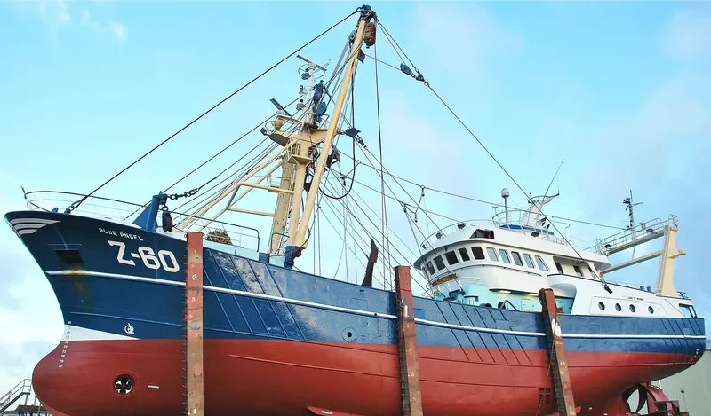 Z60BLUE ANGEL General Cargo IMO 9222077 photo 3