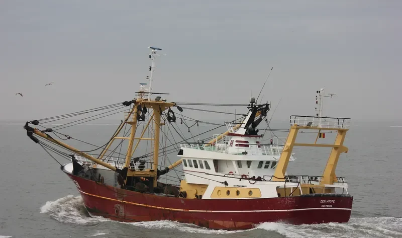 O231 DEN HOOPE General Cargo IMO 9222089 photo 3