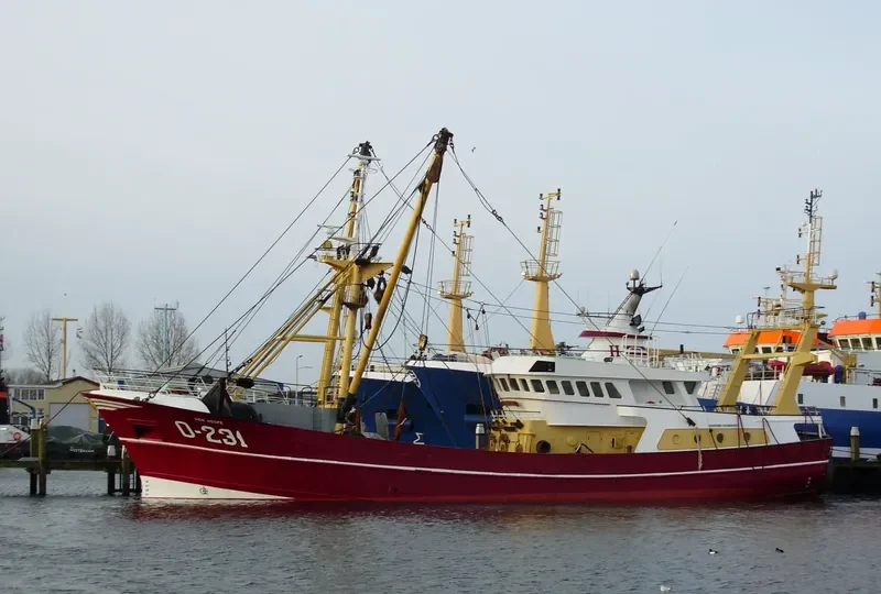 O231 DEN HOOPE General Cargo IMO 9222089 photo 5