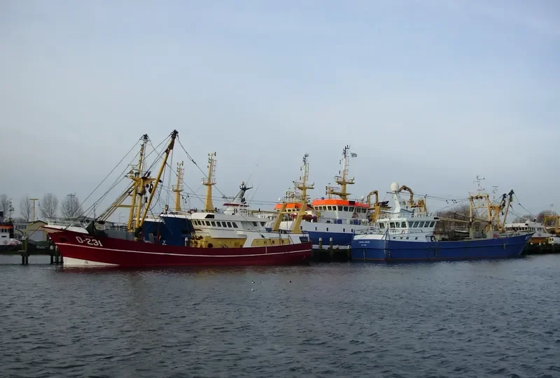 O231 DEN HOOPE General Cargo IMO 9222089 photo 6