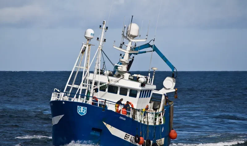 ORION BF432 General Cargo IMO 9222156 photo 6