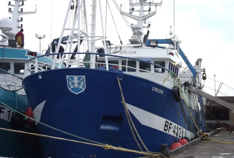 ORION BF432 General Cargo IMO 9222156 photo 8