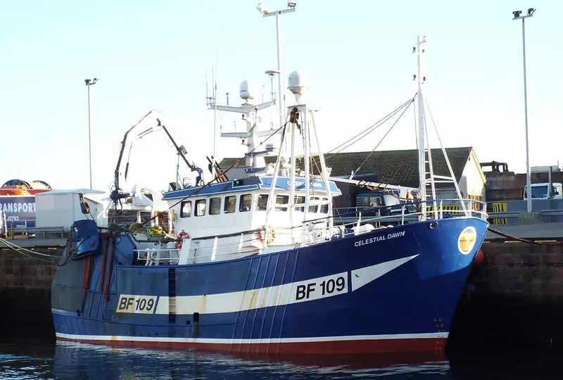 CELESTIAL DAWN General Cargo IMO 9222194 photo 4