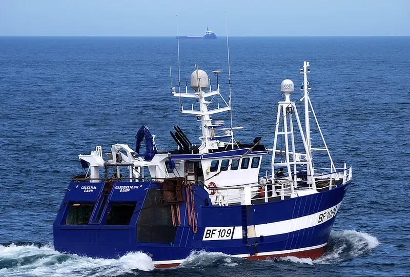 CELESTIAL DAWN General Cargo IMO 9222194 photo 5