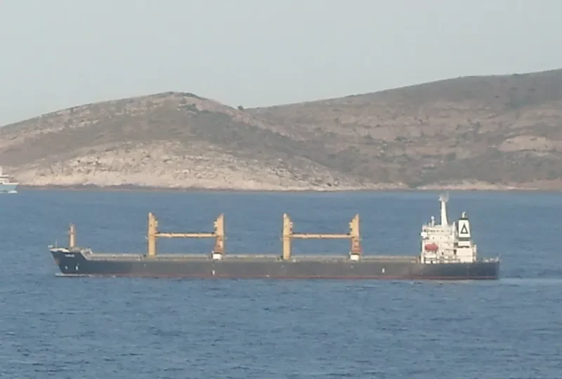 BO YUAN HE Bulk Carrier IMO 9222211 photo 4