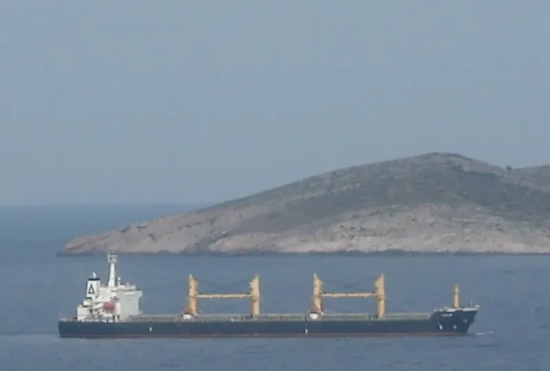 BO YUAN HE Bulk Carrier IMO 9222211 photo 5