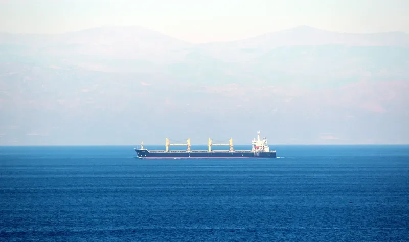 BO YUAN HE Bulk Carrier IMO 9222211 photo 8