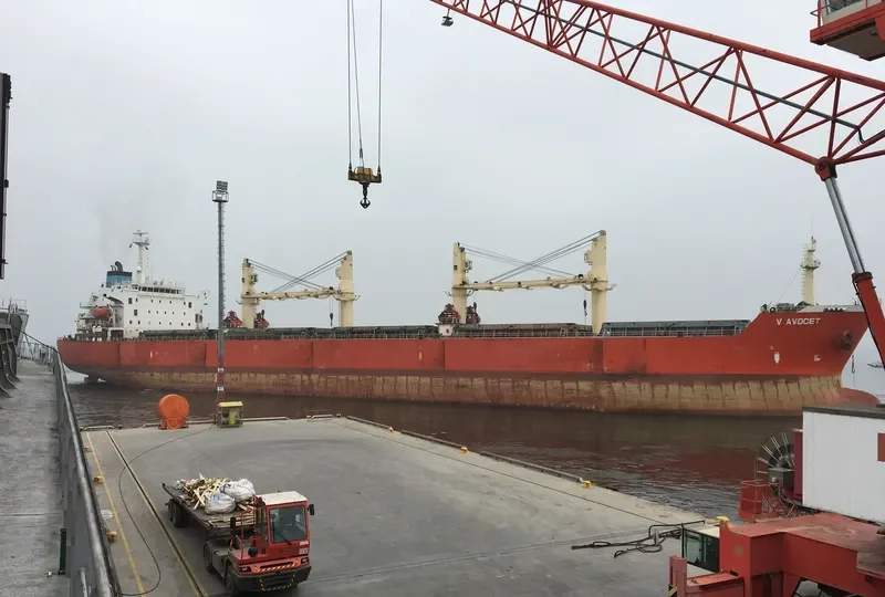 OBS SATURN Bulk Carrier IMO 9222223 photo 6