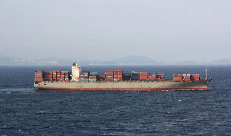 MSC PETRA Container Ship IMO 9222302