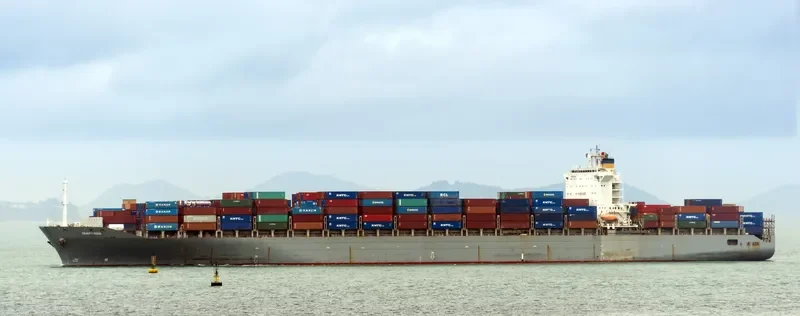 MSC PETRA Container Ship IMO 9222302 photo 3