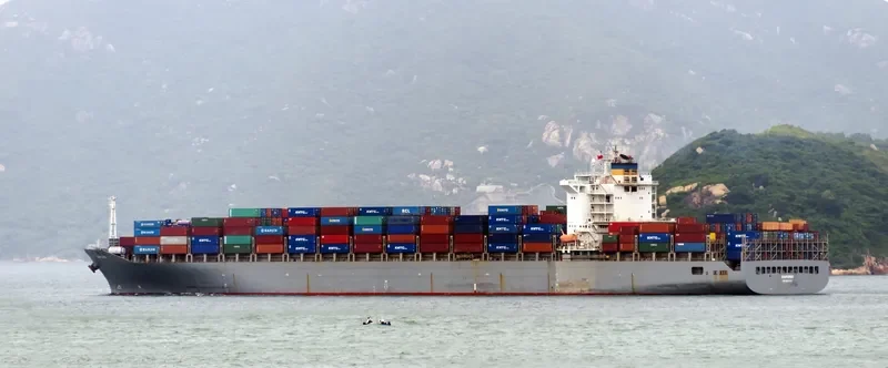 MSC PETRA Container Ship IMO 9222302 photo 4