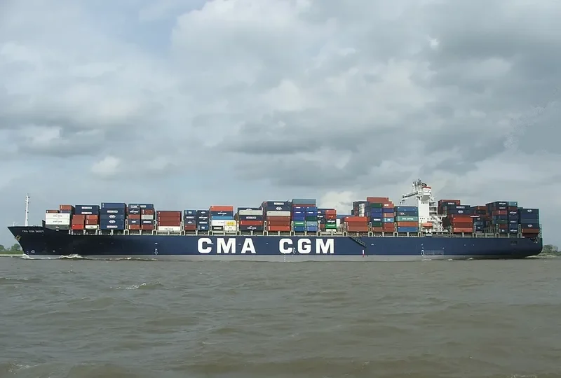 MSC PETRA Container Ship IMO 9222302 photo 5