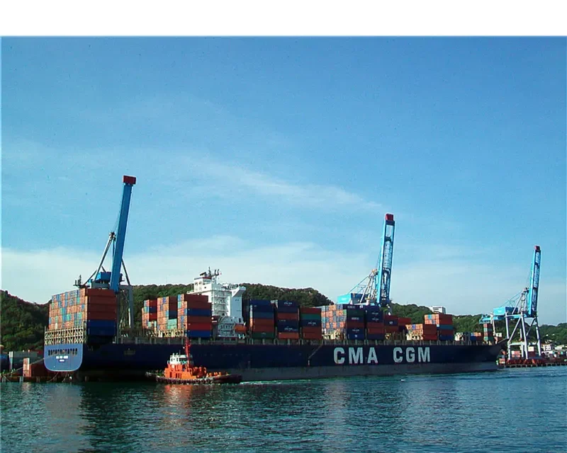 MSC PETRA Container Ship IMO 9222302 photo 7