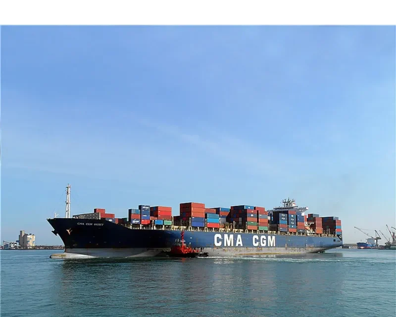 MSC PETRA Container Ship IMO 9222302 photo 9