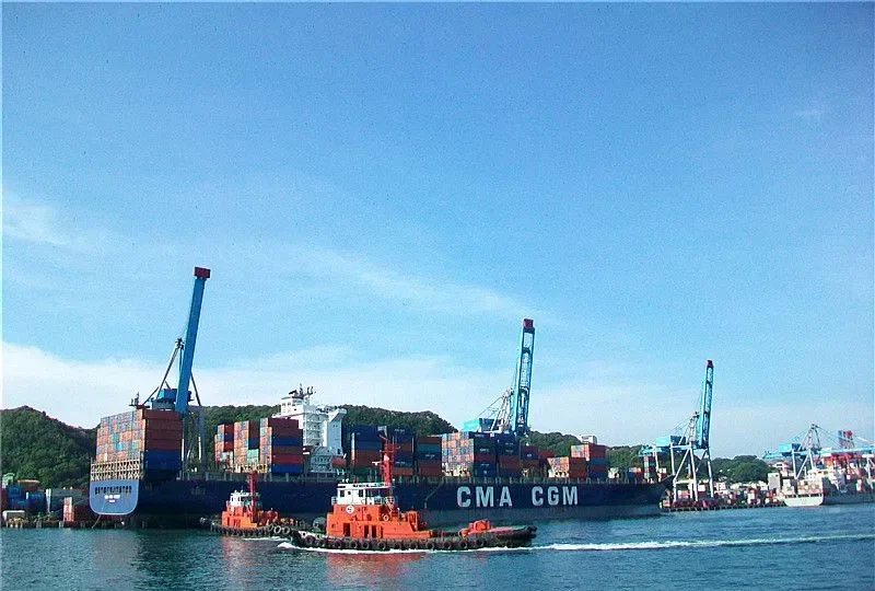 MSC PETRA Container Ship IMO 9222302 photo 10