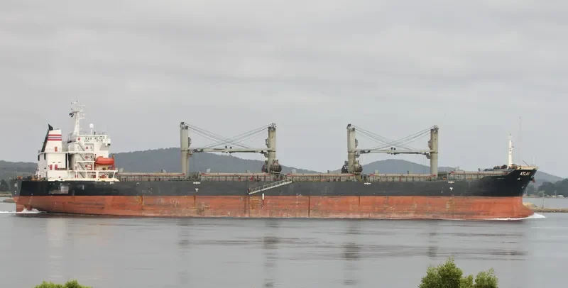 AVIGATOR Bulk Carrier IMO 9222340 photo 6