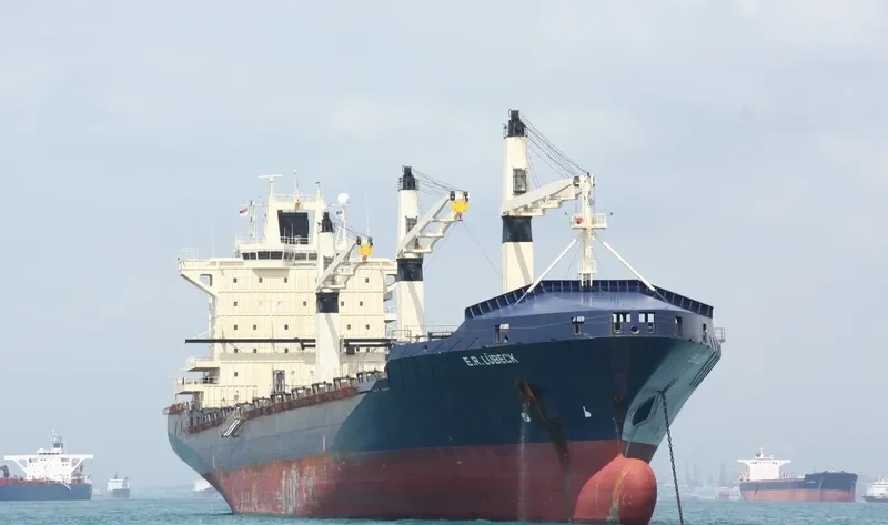 AREOPOLIS Container Ship IMO 9222467 photo 3