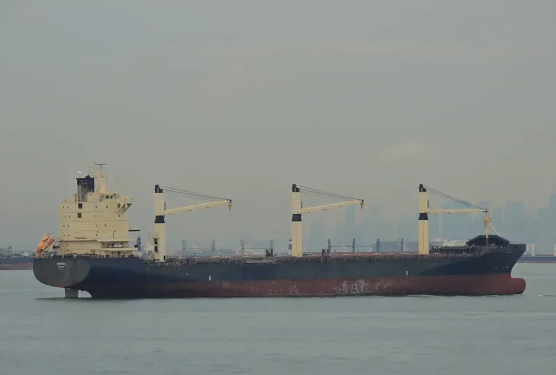 AREOPOLIS Container Ship IMO 9222467 photo 6