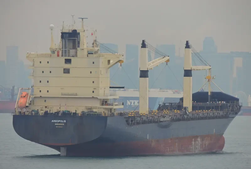 AREOPOLIS Container Ship IMO 9222467 photo 7