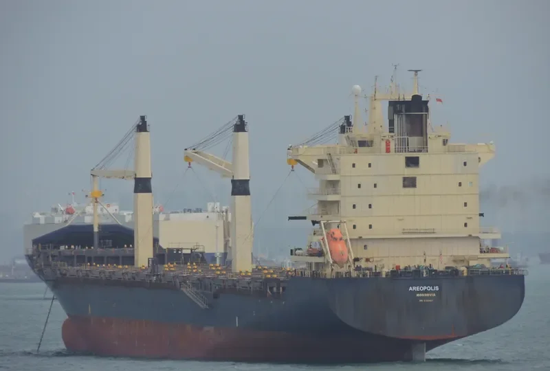 AREOPOLIS Container Ship IMO 9222467 photo 8