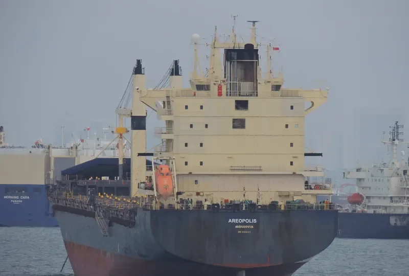 AREOPOLIS Container Ship IMO 9222467 photo 9