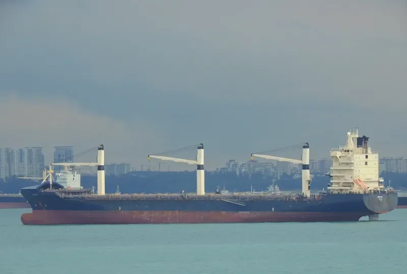 AREOPOLIS Container Ship IMO 9222467 photo 10