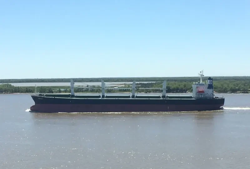 XIN XIANG ZHI Bulk Carrier IMO 9222479