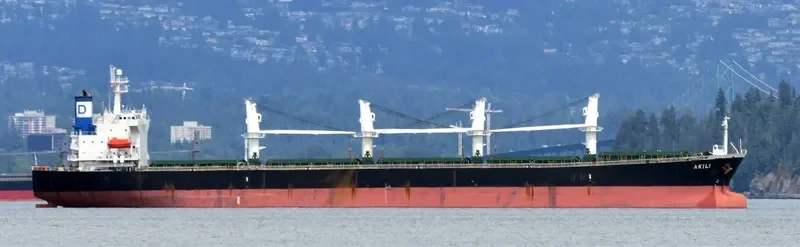XIN XIANG ZHI Bulk Carrier IMO 9222479 photo 3