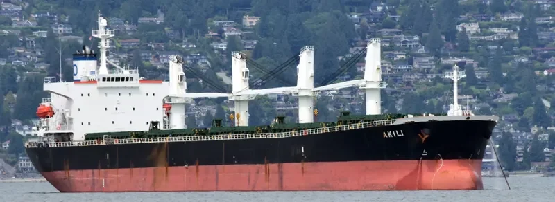 XIN XIANG ZHI Bulk Carrier IMO 9222479 photo 4