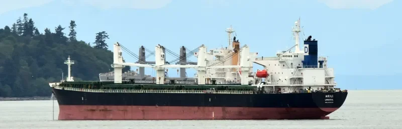 XIN XIANG ZHI Bulk Carrier IMO 9222479 photo 5