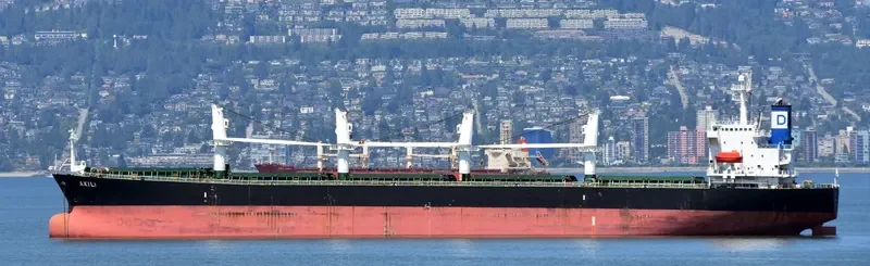 XIN XIANG ZHI Bulk Carrier IMO 9222479 photo 6