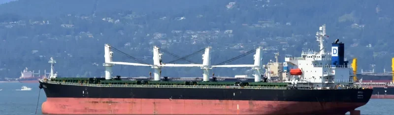 XIN XIANG ZHI Bulk Carrier IMO 9222479 photo 7