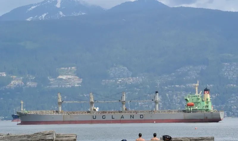 XIN XIANG ZHI Bulk Carrier IMO 9222479 photo 8