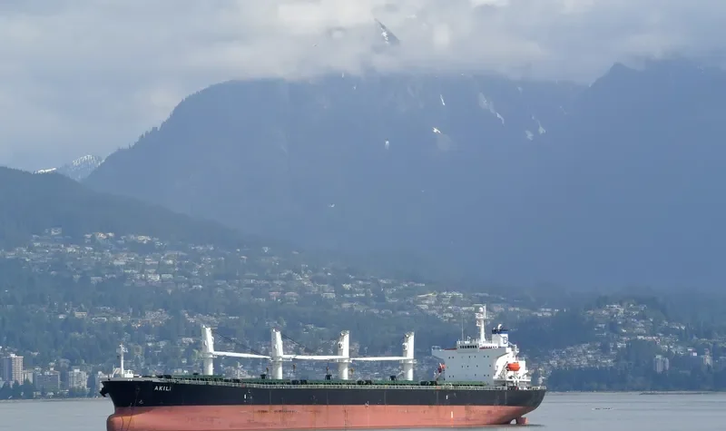 XIN XIANG ZHI Bulk Carrier IMO 9222479 photo 9