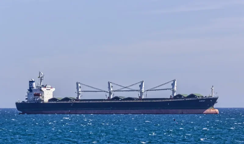 XIN XIANG ZHI Bulk Carrier IMO 9222479 photo 10