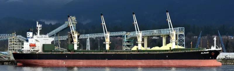 ALMASI Bulk Carrier IMO 9222481