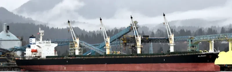 ALMASI Bulk Carrier IMO 9222481 photo 3