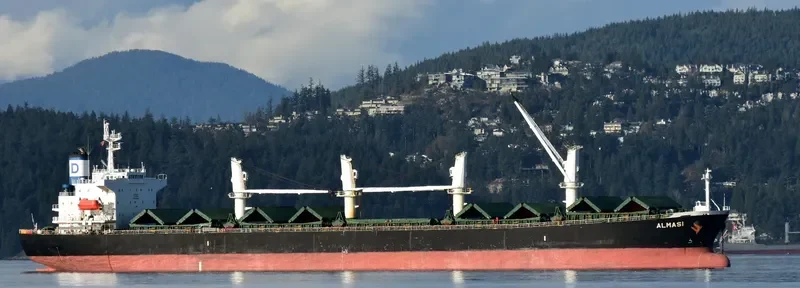 ALMASI Bulk Carrier IMO 9222481 photo 5